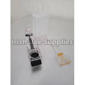 Queen Collection Set