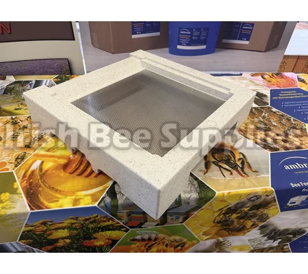 SWIENTY HIVE FLOOR