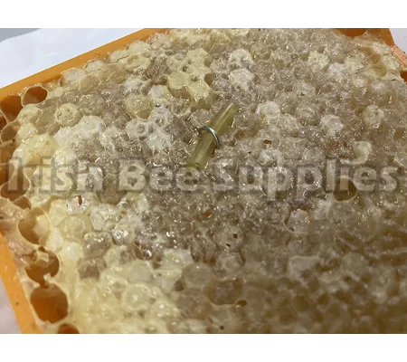 Queen Mandibular Pheremone