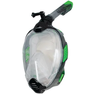 Dive - Snorkel