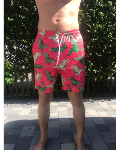 Men's swim shorts designer dinosaur pink trunks