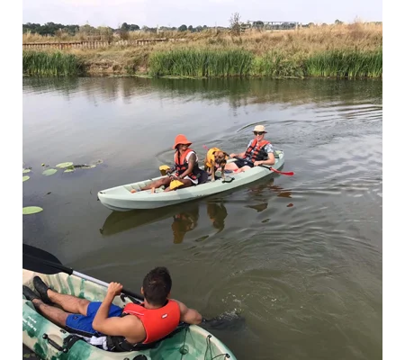 River Kayak Experience