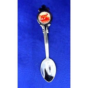 Souvenir Spoon - Calgary, Alberta, Canada