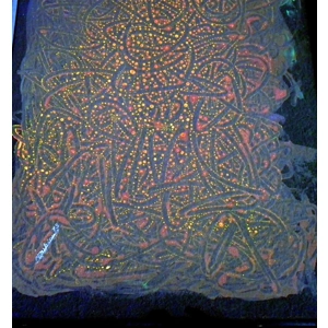 Krikor Agopian - Abstract Design