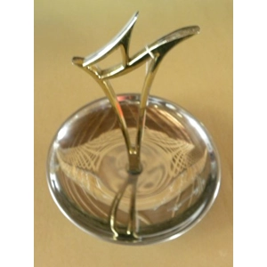 Stainless Steel 1 Tier Tray w/ Brass Handle