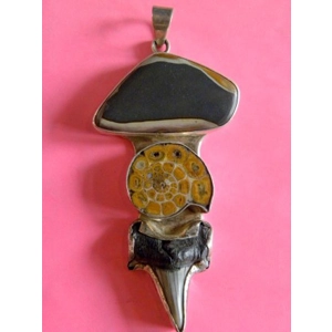 Ammonite Fossil, Prehistoric Shark Tooth Fossil, Striped Psilomelane Manganese Pendant