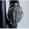 Trilobite Fossil Jewelry