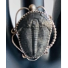 Trilobite Fossil Jewelry