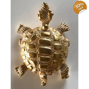 Brass Turtle Pill Box