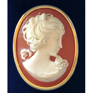 Gold Framed Cameo
