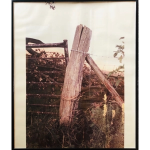 Roy Kerr - Field & Fence