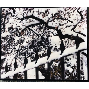 Roy Kerr - Playfair Steps of Edinburgh,