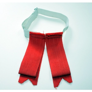 The Queen's Own CAmeron Highlanders Red Grosgrain Flashes