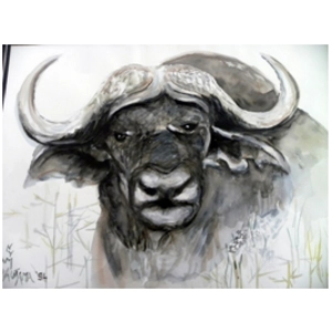 Nym Gautama Water Buffalo Yak