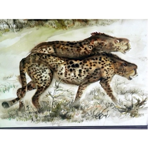 Nym Gautama Cheetah's