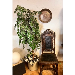 Spanish/Portuguese Chair