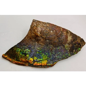 Ammolite Gemstone