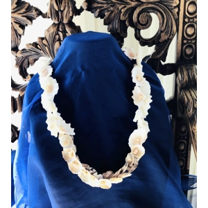 Hawaiian Shell Necklace