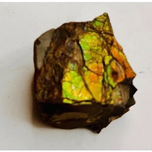 Ammolite Gemstone