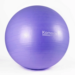 Yoga Exercise Ball with Pump