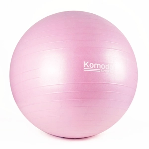 Yoga Exercise Ball with Pump
