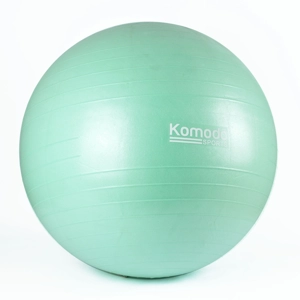 Yoga Exercise Ball with Pump