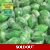 Barnetts Sherbet Limes Sweets Unwrapped Lime She..