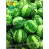 Barnetts Watermelon Gluten Free Boiled Sweets