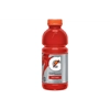 Gatorade Fruit Punch Sports Drink 591ml Bottle