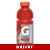 Gatorade Fruit Punch Sports Drink 591ml Bottle