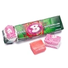 Bubblicious Watermelon - 5 Pieces Bubble Gum Pack