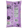 Tootsie Frooties Grape Chews - 113g Bag