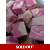 TFF Pink Gin Flavour Fudge | The Fudge Factory