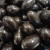 Dark Chocolate Coated Brazils - Carol Anne Plain..