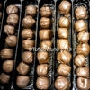 Beechs Milk Chocolate Gingers | Beech's Fine Chocolate