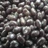 Jelly Belly Grape Jelly Beans
