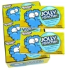 Bubble Yum Jolly Rancher Blue Raspberry Bubble Gum -79g Pack