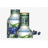 AriZona Blueberry White Tea - 500ml Bottle