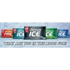 Dentyne Ice Gum Arctic Chill Sugar Free Chewing Gum - 16 Piece Pack