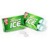 Dentyne Ice Spearmint Sugar-Free Chewing Gum - 16 pieces Pack