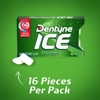 Dentyne Ice Spearmint Sugar-Free Chewing Gum - 16 pieces Pack