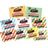 Fishermans Friend Sugar Free Mint Flavour Lozenges