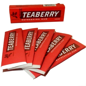 Gerrits Teaberry Refreshing Chewing Gum Sticks 5 Piece Pack