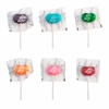Jelly Belly Lollipops Fun Pops - Giant Bean Shaped Lollies 17g Single
