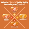Jelly Belly - Orange Sherbet Flavour Jelly Beans - Chewy Sweets