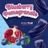 Kenny's Wiley Wallaby Soft Blueberry Pomegranate Liquorice - 284g Bag