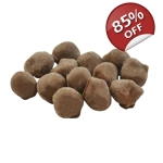 Kingsway Chewing Nuts Kingsway Chewing Nuts
