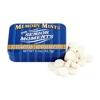 Memory Mints - Senior Moments - 1.5oz - 42.5g Extra Strong Peppermints