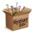 Clearance Special Mystery Box - Small - Short an..