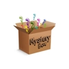 Clearance Special Mystery Box - Small - Short and Past Dated Products